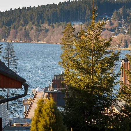 Vila Kubik Lipno Lipno nad Vltavou Buitenkant foto